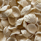 Orecchiette - Grano Senatore Cappelli